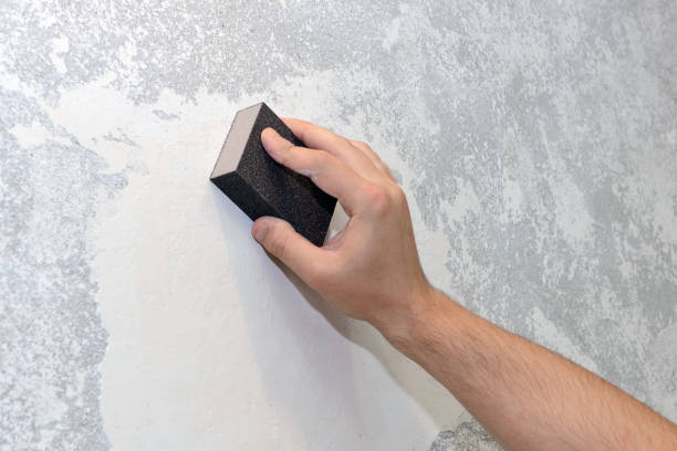 Best Mold Documentation for Insurance Claims  in Woodfield, SC