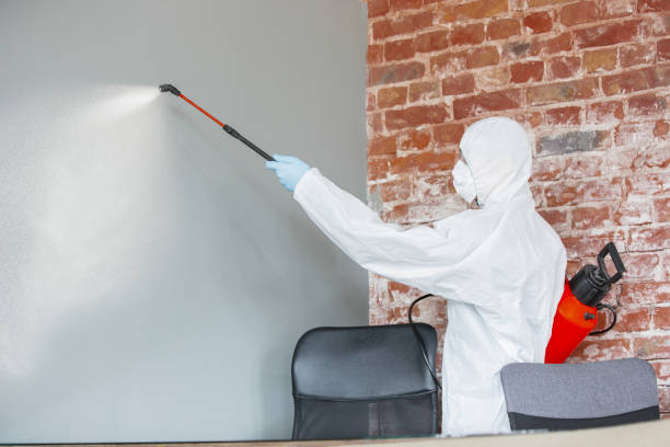  Woodfield, SC Mold Removal Pros
