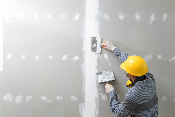Best Real Estate Mold Inspection  in Woodfield, SC