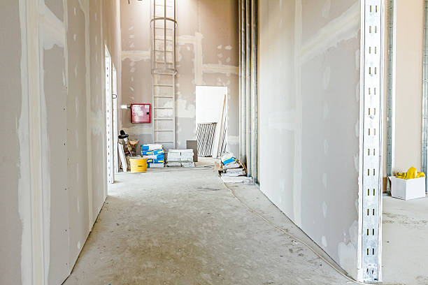Best Asbestos and Lead Testing During Mold Inspection  in Woodfield, SC